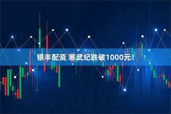 银丰配资 寒武纪跌破1000元！