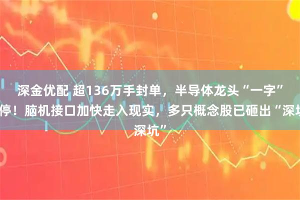 深金优配 超136万手封单，半导体龙头“一字”跌停！脑机接口加快走入现实，多只概念股已砸出“深坑”