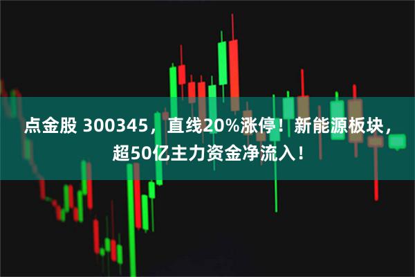 点金股 300345，直线20%涨停！新能源板块，超50亿主力资金净流入！