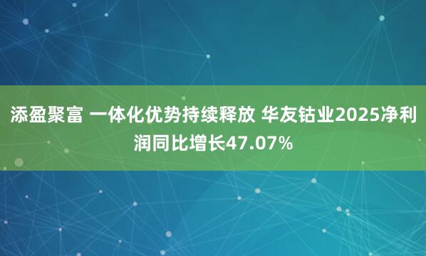 添盈聚富 一体化优势持续释放 华友钴业2025净利润同比增长47.07%